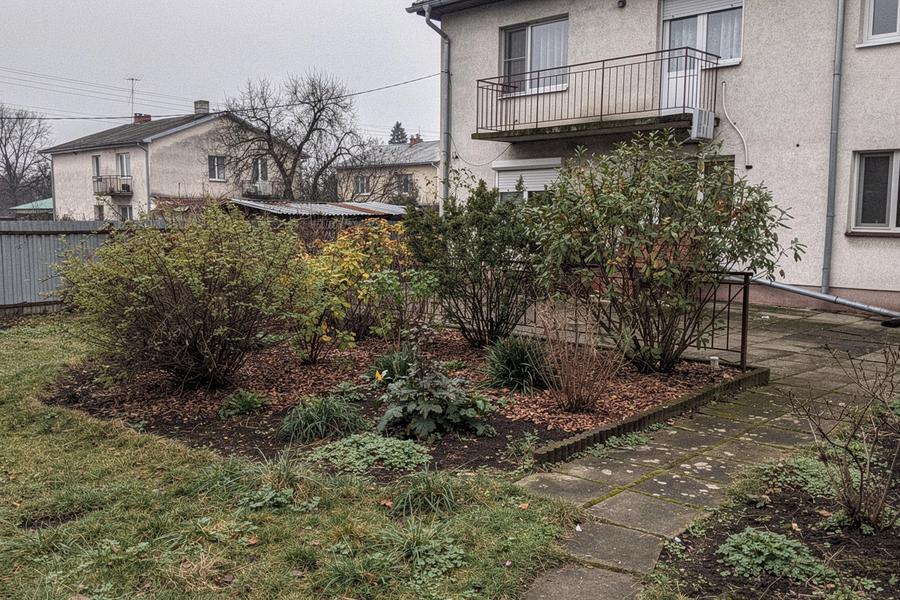Before: terrace beds with overgrown planting